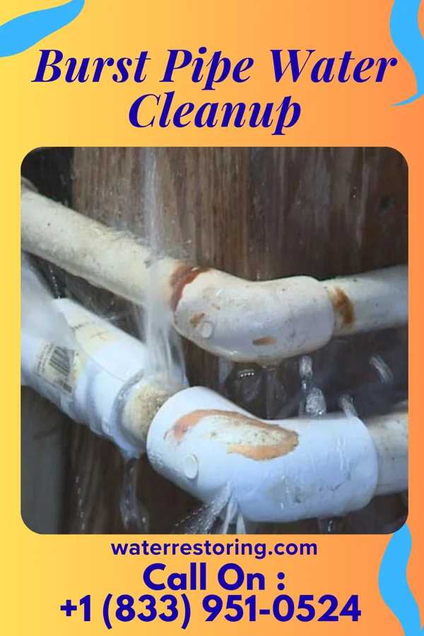Burst Pipe Water Cleanup in Falcon, NC