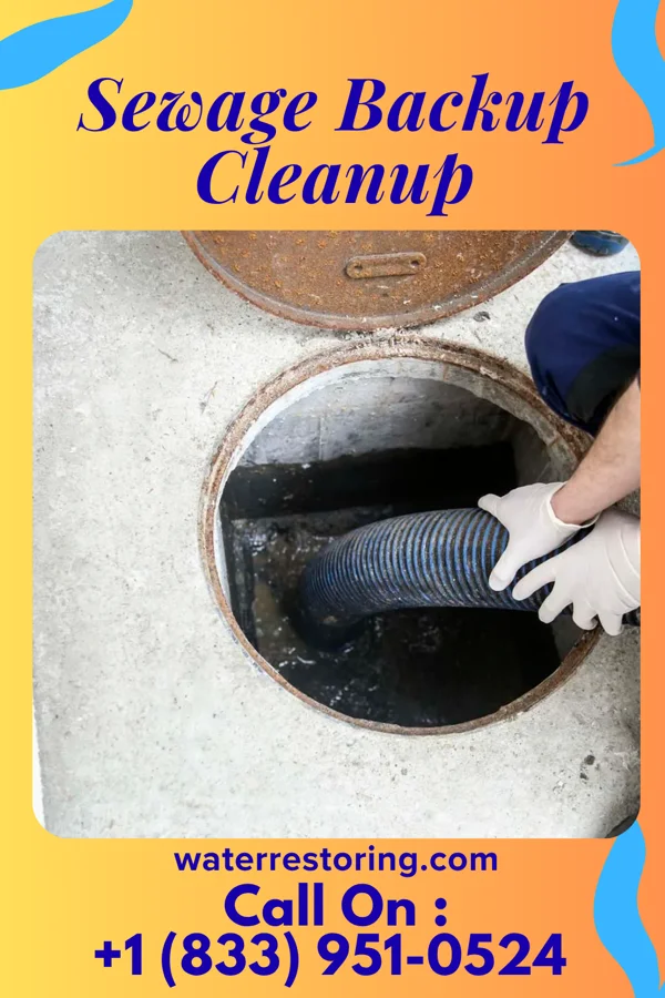Sewage Backup Cleanup in Falcon, NC