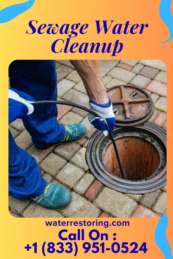 Sewage Water Cleanup in Falcon, NC