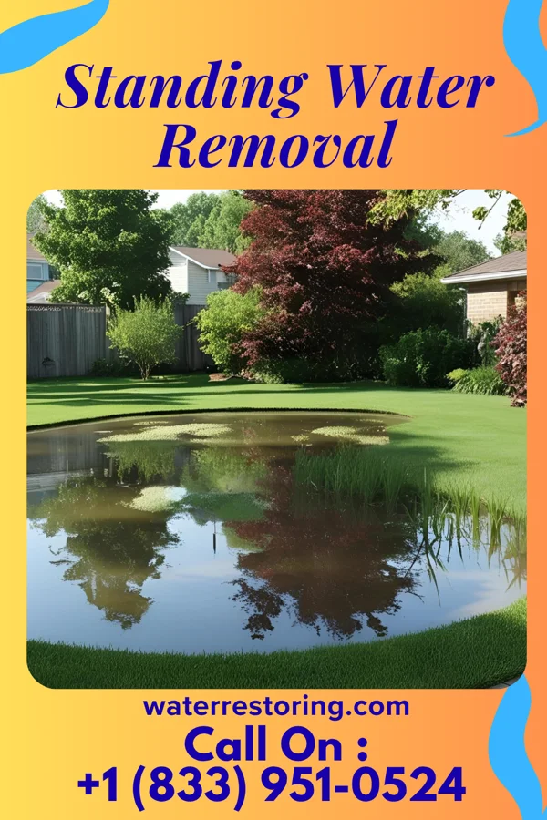 Standing Water Removal in Falcon, NC